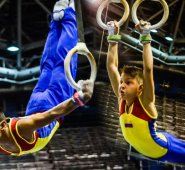 Confederación Sudamericana de Gimnasia