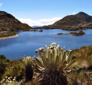 En el páramo Santurbán se origina el agua que abastece a más de 2.200.000 habitantes. La Opinión