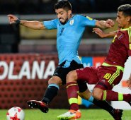 El próximo martes, la celeste enfrentará a Bolivia en Montevideo. AFP