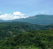 Para la ONU y el Episcopado es alarmante la tensa situación en esta zona de Norte de Santander, Archivo