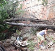En el barrio circunvalación, dos árboles cayeron y afectaron algunas viviendas del sector. César Obando