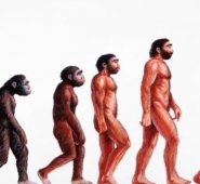 Internet | Referencial