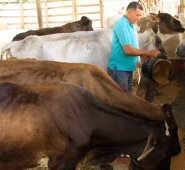 En el departamento existen aún 29 municipios que pertenecen a la zona de protección. Archivo