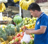 Granos, procesados, carne de pollo, res y pescado son algunos de los productos que las demás centrales de país congelará su precio desde 15 de diciembre hasta el 15 de enero. Archivo