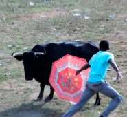 Archivo | Referencial