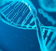 Internet | Referencial