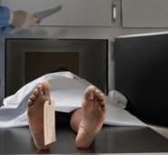 Internet | Referencial