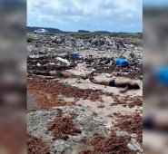 Al parecer, la lancha salió de las costas de La Vela de Coro, estado Falcón, con unas 30 personas. Dos cuerpos aparecieron en la playa en el área conocida como Koraal Tobak, Curazao. AFP