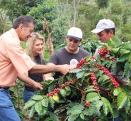 El plan del Comité Departamental es fortalecer la participación de los productores en concursos a nivel municipal y nacional para atraer más compradores internacionales. Archivo