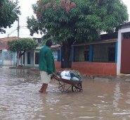 Archivo de La Opinión