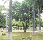 Desde esa fecha hasta hoy, se recogieron los escombros y la Junta de Acción Comunal (Jac) conformó un comité de amigos del parque Centenario. La Opinión
