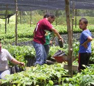 Archivo de La Opinión