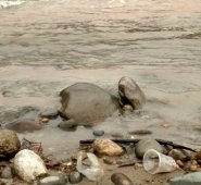 La confluencia de aguas residuales y las aguas del río son la mayor preocupación. Archivo La Opinión