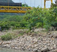 El cadáver quedó pegado a la orilla del río Zulia. Algunos comerciantes del puente Mariano Ospina Pérez, aseguraron que la mujer visitaba constantemente este lugar. Edinsson Figueroa