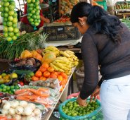 Durante enero y lo que va de febrero el precio del limón al productor y al consumidor disminuyó 50%. Mario Franco