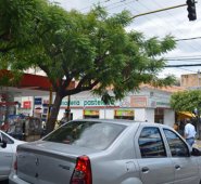 Archivo de La Opinión