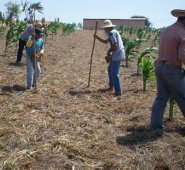 En 2018, el Ministerio de Cultura continúa con una gran apuesta para el Catatumbo a través del Programa Expedición Sensorial. Archivo de La Opinión