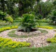 Luis Alfredo Estévez