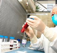 Diagnóstico de enfermedades. Internet