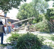 El lunes en la avenida séptima del barrio Prados del Este el viento tumbó un árbol y este se arrastró un poste de electricidad. Edinsson Figueroa