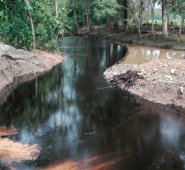 Ambientalistas, pescadores y comunidad del Magdalena Medio también han reportado manchas de crudo en la quebrada La Lizama. Twitter