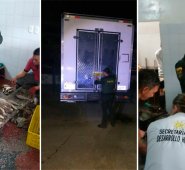 El pescado, que al parecer provenía de Venezuela, se encontró en una bodega del sector Santa Clara. Cortesía