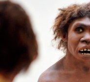 Neandertal basado en un modelo 3D. AFP