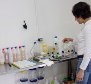 Alfredo Estévez / La Opinión 