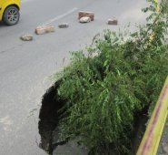 Orlando Carvajal / La Opinión 