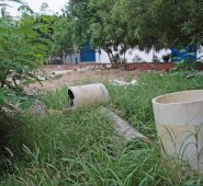 Mario Caicedo / La Opinión