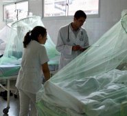 Paraguay registró la peor epidemia de dengue de su historia con 150.000 casos registrados y 252 muertos, en 2013. AFP