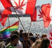 Canadá es el segundo país en el mundo que la legaliza, después de Uruguay. Internet