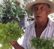 Gilberto Durán, campesino de Banco de Arena, sostiene las hortalizas producidas en las huertas, 120 familias fueron beneficiadas por este proyecto en el 2017. Cortesía