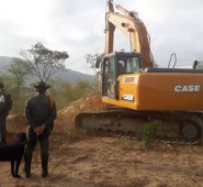 Autoridades intervienen pasos ilegales. Policía