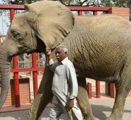 El cuidador Yousuf Masit camina con un elefante en zoológico de Karachi. AFP