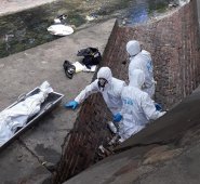 La Brigada interinstitucional contra homicidios ( Brinho) procedió con el levantamiento del cuerpo. La Opinión