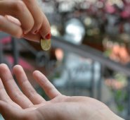 Oscar Gerardino, secretario de Gobierno de Cúcuta, informó que “se están haciendo recorridos, para controlar las personas que piden monedas y que son agresivos con los que van en los carros”. Leonardo Oliveros