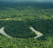 Ubicado en los departamentos del Guaviare y Caquetá, Chiribiquete es el Parque Nacional de selva húmeda más grande del continente con un ecosistema único en planeta. fcds.org.co