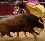 La ponencia del caso está en manos de los magistrados Antonio José Lizarazo y José Fernando Reyes Cuartas. Colprensa