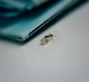 El vídeo que registró el presunto robo fue compartido en las redes sociales. Captura