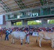 Lograron el 3° puesto en la categoría hembras de 17 a 18 meses con el ejemplar Kata. Cortesía