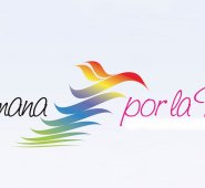 Varias organizaciones se vincularán. Internet