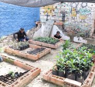 Los estudiantes hacen huertos con las plantas autóctonas de la zona y luego las plantan en las nacientes de las fuentes hídricas. César Obando