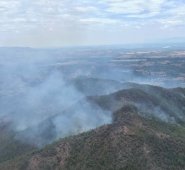 Uno de los departamentos, a nivel nacional, que más ha registrado incendios forestales. Colprensa