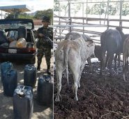 En los operativos, seis personas fueron capturadas. Ejército Nacional