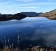 Cortesía Adolfo Pedraza