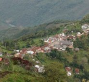 Sobre este crimen, cuya responsabilidad para las autoridades recae sobre las disidencias del frente 36 de las Farc que lidera Ricardo Abel Ayala, alias Cabuyo. Internet