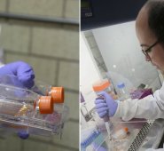 Tomada de Twitter @IPN_MX