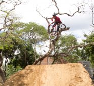 Alfredo Estévez / La Opinión 