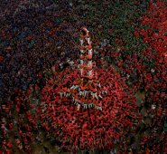 Los ganadores del concurso fue el equipo 'Colla Vella dels Xiquets de Valls'. AFP